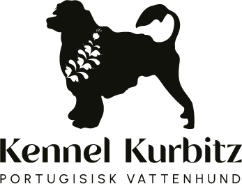 Kennel Kurbitz – Portugisiskt Vattenhund från Dalarna